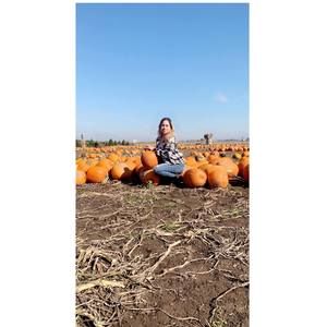 Meet your Posher, Brianda